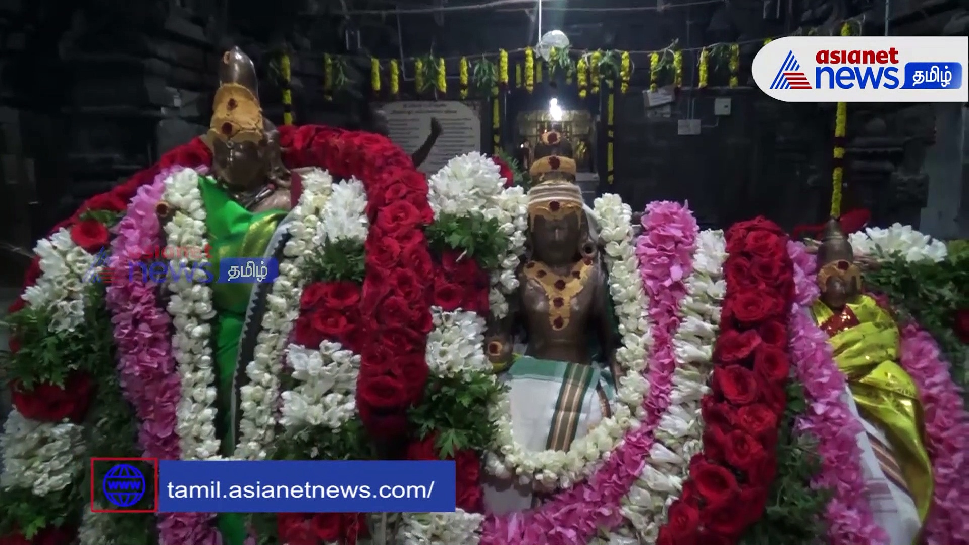 Video : பாளையங்கோட்டை கோமதி அம்பாள் கோவிலில் ஐப்பசி திருவிழா! - கொடியேற்றம் கோலாகலம்!