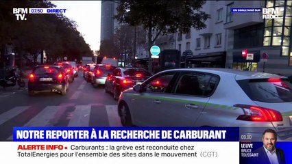 Le choix d'Angèle - La Nouvelle-Zélande veut taxer les pets de vaches pour diminuer les gaz à effet de serre