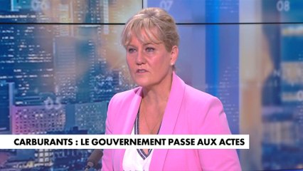 Nadine Morano : «Le gouvernement agit à contretemps, je leur demande de prendre des mesures plutôt de que de parler»