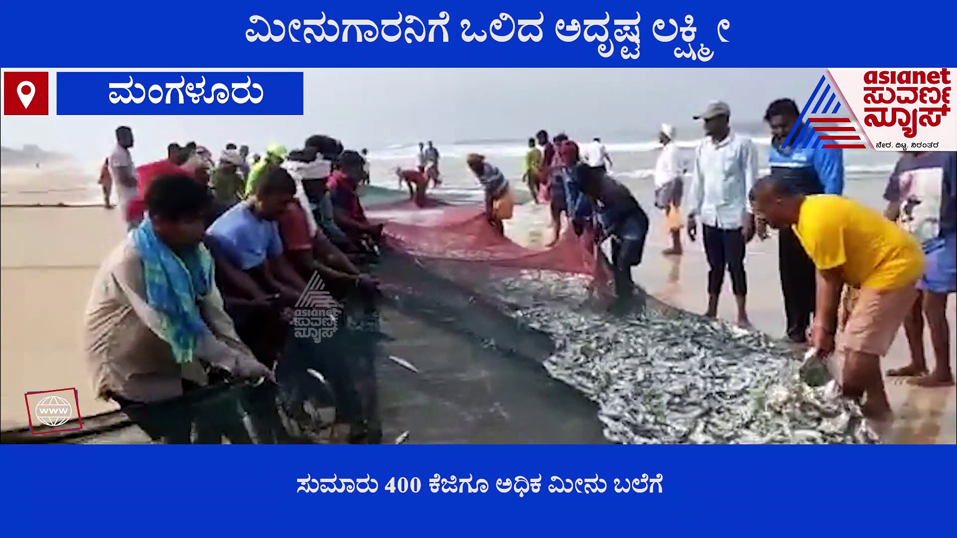   ಅಬ್ಬಬ್ಬಾ... ಕಡಲ ಕಿನಾರೆಯಲ್ಲಿ ರಾಶಿ ರಾಶಿ ಮೀನು!