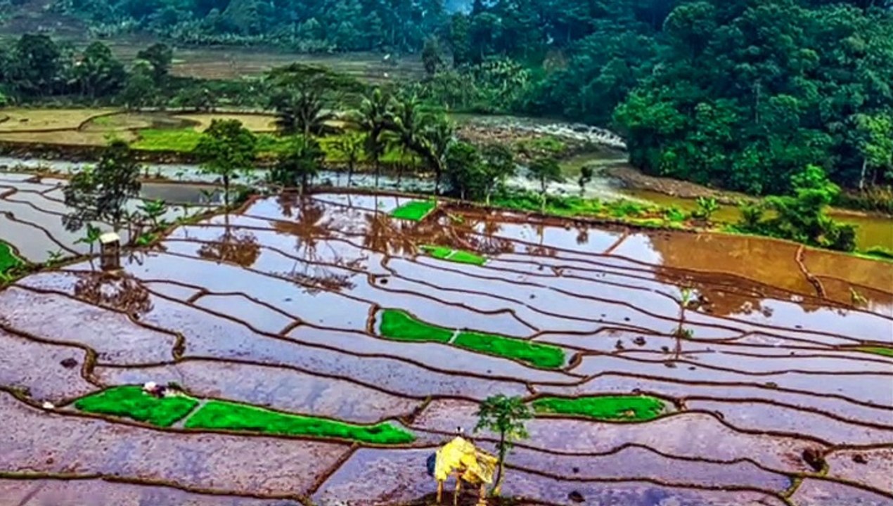 How To Become Most Sustainable, Regenerative, Carbon-Negative To Build A Green Civilization – Part 2