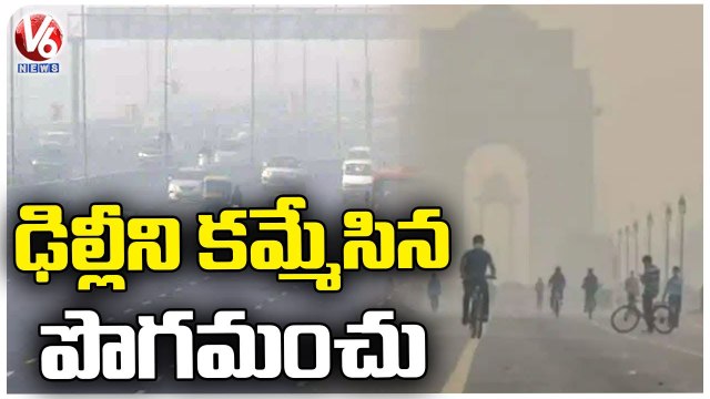 Delhi Weather Updates : Public Face Problems With Fog | V6 News