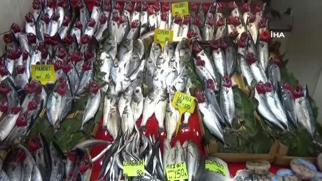 Olta lüfer kilosu 320 liradan tezgahlarda yerini aldı