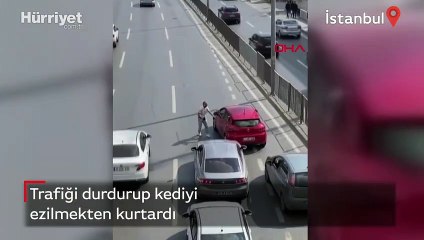 Trafiği durdurdu, kediyi ezilmekten kurtardı! O anlar kamerada