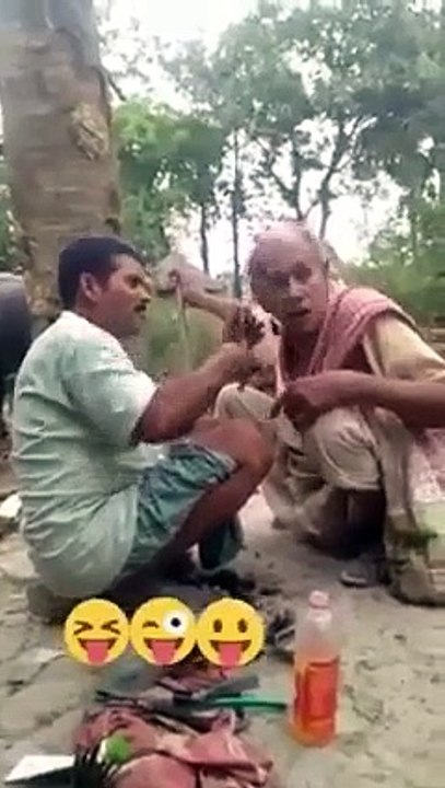 Funny videos