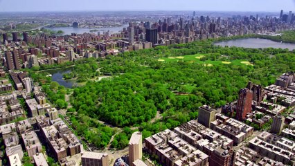 Love and the Radio Star Bande-annonce (EN)