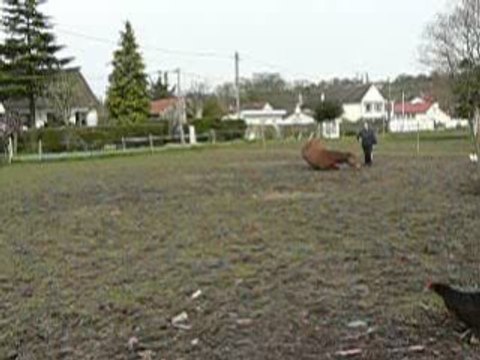 pas esp, cabré, couché 15 mars 08