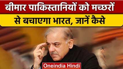 Pakistan Flood: बाढ़ के बाद मच्छरों से Pakistan की हालत खराब, भारत करेगा मदद | वनइंडिया हिंदी *News