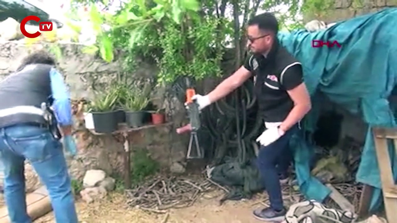 Çiftlik evinde ele geçirilmişti: Tüfekler İdlib'den getirilmiş!