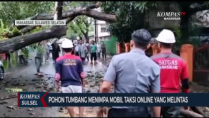 Mobil Taksi Online Tertimpa Pohon Tumbang