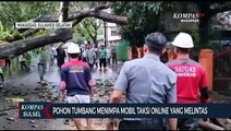 Mobil Taksi Online Tertimpa Pohon Tumbang
