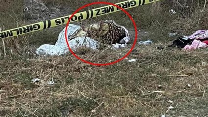 Battaniyeye sarılı kadın cesedinin sırrı çözüldü! Detayları okurken kanınız donacak