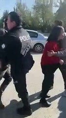 Belediye ekipleri ile hayvanseverler arasında 'köpek toplama' gerginliği