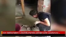 Son dakika haberi | Zeytinburnu'nda yastığın içine uyuşturucu madde saklayan kişi tutuklandı