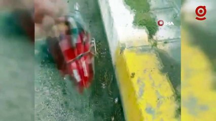 Kafasına poşet geçen kargayı öğretmen kurtardı