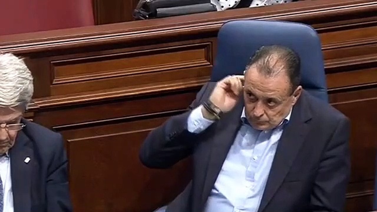 David de la Hoz, diputado canario: ¿dónde está el saltamontes?