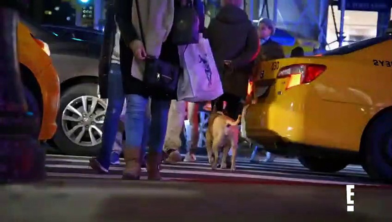 Model Squad - Se1 - Ep08 - Miami Nice HD Watch HD Deutsch