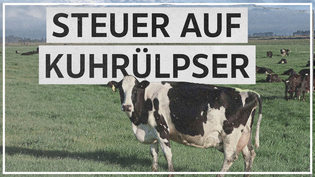 Kuhrülpser sollen besteuert werden