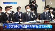 국감 나온 부산대 총장에…與의원 “조국 일가 변호사냐”