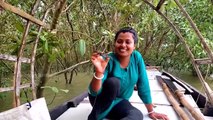 সুন্দরবনের নদীতে দাওন বড়শি দিয়ে মাছ ধরার মজাই আলাদা । Sundarban fishing @Tradi-food Sundarban
