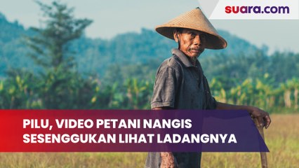 Pilu, Video Petani Nangis Sesenggukan Lihat yang Terjadi dengan Ladangnya
