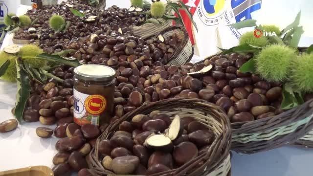 Aydın haber | Aydın'da sezonun ilk kestanesi 250 TL'den alındı