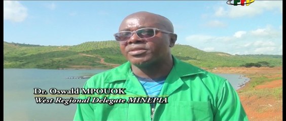 FISH ARMING fighting importation trough massive locale production_of October 11, 2022