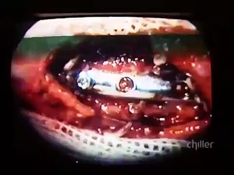 Ripley's Believe It or Not! - Se1 - Ep01 HD Watch HD Deutsch