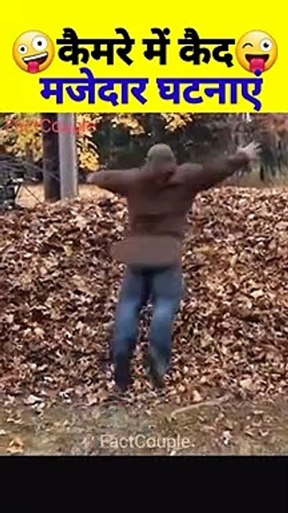 Funny Moments Caught on Camera P  #shorts #factcouple