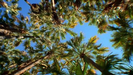 Natures Microworlds 12of13 Australia's Red Centre