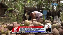 GMA Kapuso Foundation, bumalik sa Quezon para sa ikalawang bugso ng 'Operation Bayanihan' sa mga nasalanta ng Bagyong Karding | 24 Oras