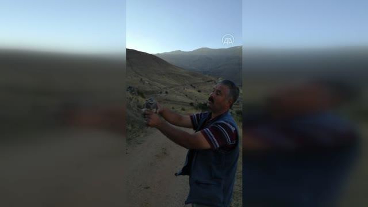 Hayvansever, yavru keklikleri büyüttükten sonra doğaya saldı