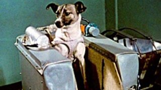 First dog in space | Laika dog in space #shorts #space