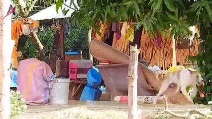 Video Lucu Menghibur 😄