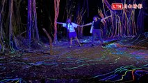 台南大地藝術季展件亮相 《沉水流光》打造炫麗夜光森林