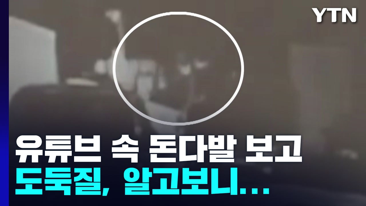 유튜브 속 돈다발 보고 훔치려고 들어간 집이 엉뚱한 곳 / YTN