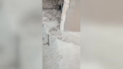 El puente destrozado que está arruinando a agricultores y ganaderos en Jaén
