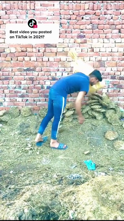 Top 5 Funny videos of the world