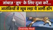 Army Dog Zoom: सेना का जांबाज़ डॉग ज़ूम गंभीर, आतंकी ने मारी थी गोली | Indian Army | वनइंडिया हिंदी