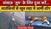 Army Dog Zoom: सेना का जांबाज़ डॉग ज़ूम गंभीर, आतंकी ने मारी थी गोली | Indian Army | वनइंडिया हिंदी