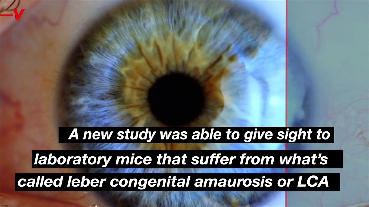 Scientists “Blown Away” By New Procedure That Gives Vision to Mice With ...