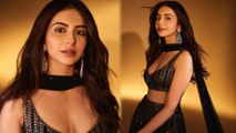 Rakul Preet Singh Opened Up On Movies Failure And Boycott Trend