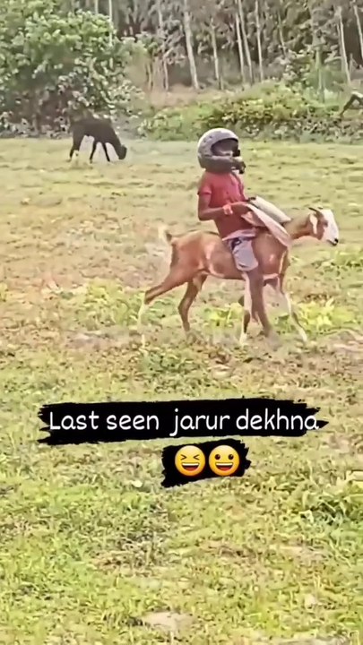 Funny Rider