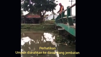 Mancing Nilem Jangan Lupakan Tiang Jembatan