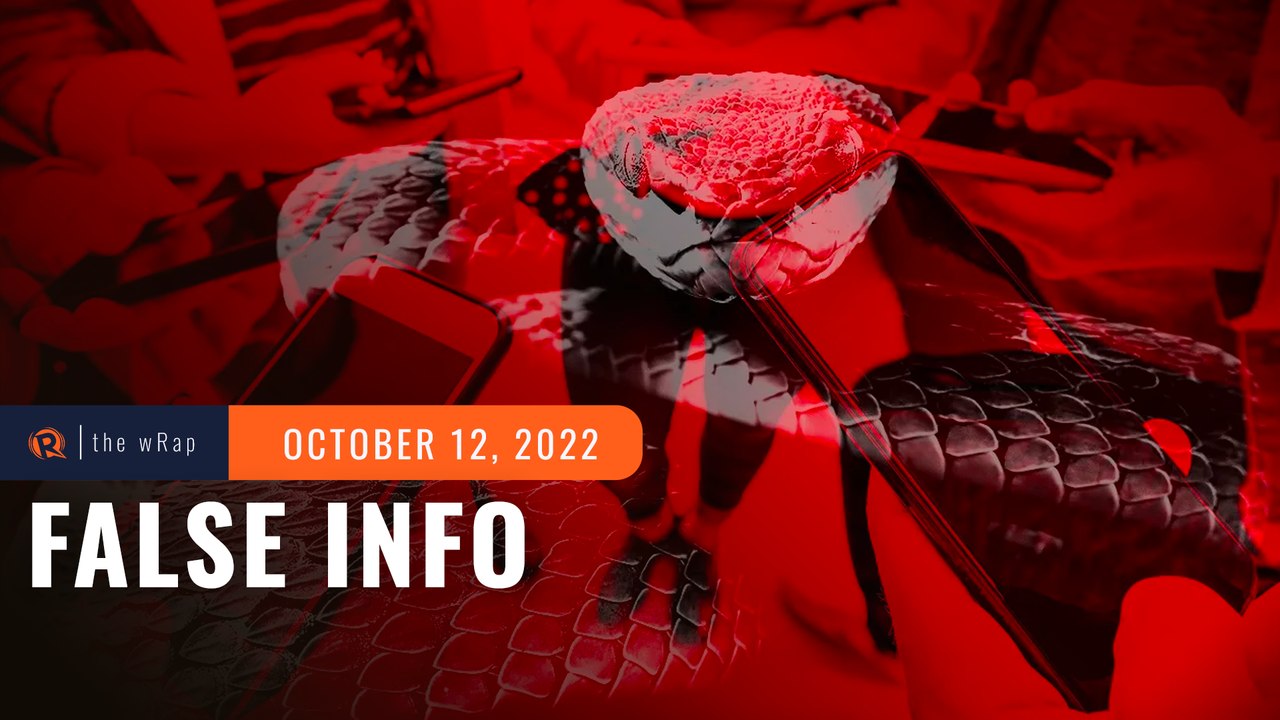 Majority of Filipinos say influencers, bloggers, vloggers spread false political info – Pulse Asia