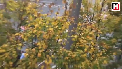 Almanya'da havaya ateş eden düğün magandası!