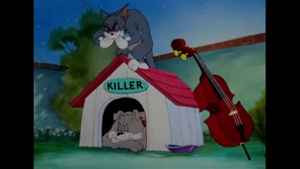Tom and Jerry !! Tom dog को परेशान करते हुए full comedy