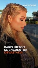 Paris Hilton contrató a 7 médiums para encontrar a su perrita desaparecida