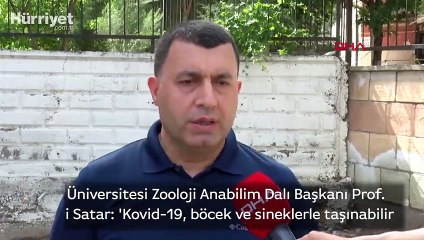 Prof. Dr. Ali Satar: Kovid-19, böcek ve sineklerle taşınabilir
