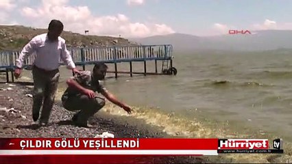 ÇILDIR GÖLÜ'NDE İLGİNÇ GÖRÜNTÜ